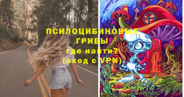 хмурый Нягань