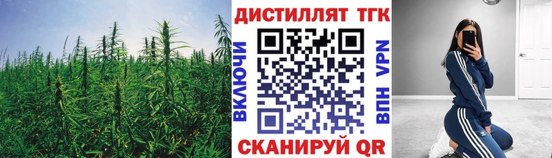 Дистиллят ТГК концентрат  наркотики  Сурск 
